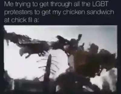 Nothing stands between me and my chicken🤬