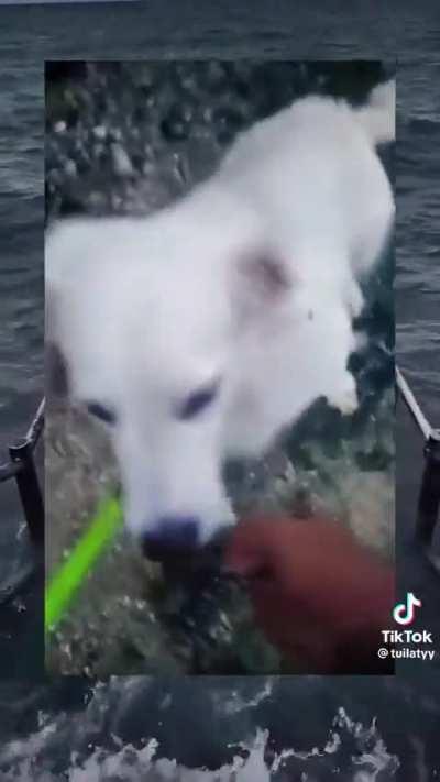 Don't book by the cover of it's judge