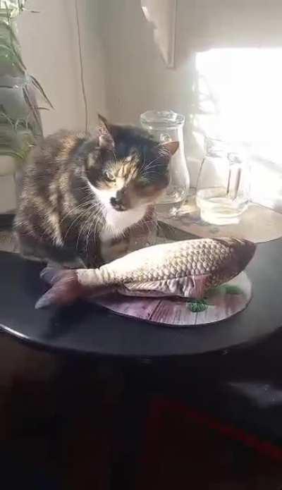 Screm likes biting people for funsies, now she has a fish