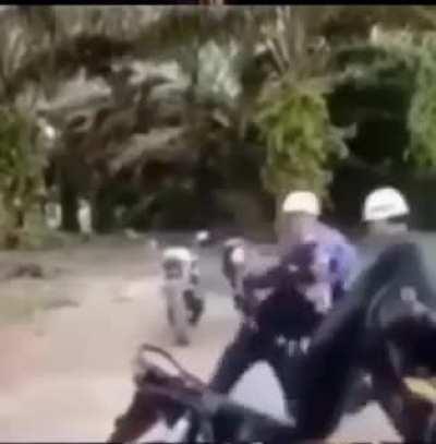 todo mundo ta do avesso depois desse ano