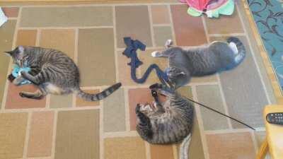 Lesson 1: Patience. Wait for the right moment to present itself.