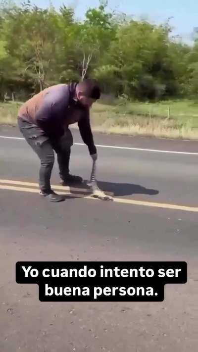 Attempting to Relocate a Sunbathing Lizard! What can go wrong?