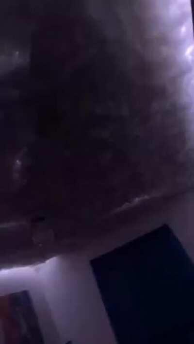 I never want something like this in my room!