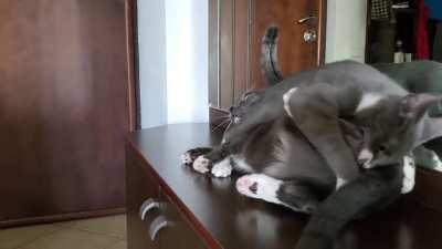 One of those days someone's gonna get hurt