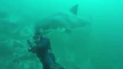 Low visibility water always freaks me out