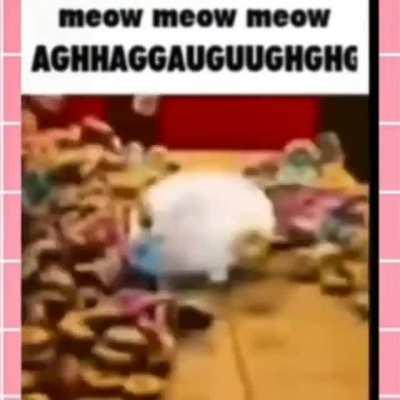 meow