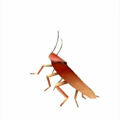 which one is your favorite? 🐒🐒