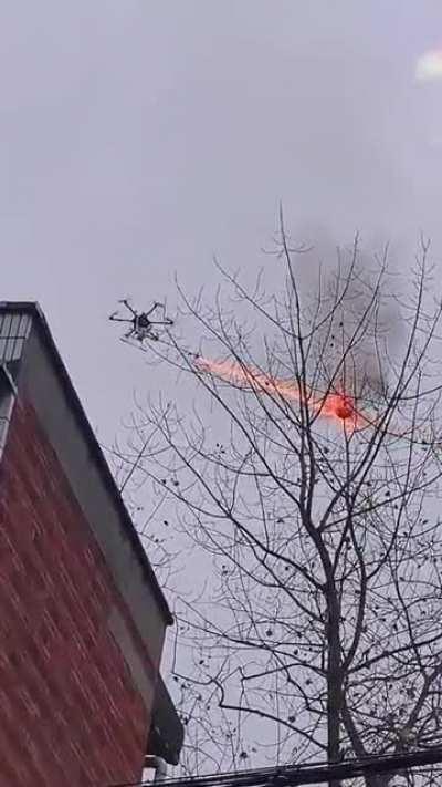 Wasp nest getting destroyed by drone