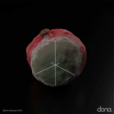 Procedural Mold Generator