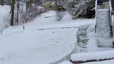 Zoomies track.... Dachshunds on the run. Who else does this? Let's see yours!