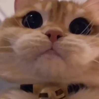 effective. Power لُلُصّبُلُلصّبُررً ॣ ॣh ॣ ॣ 冗