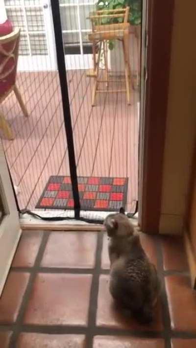 An example of the rare but effective 