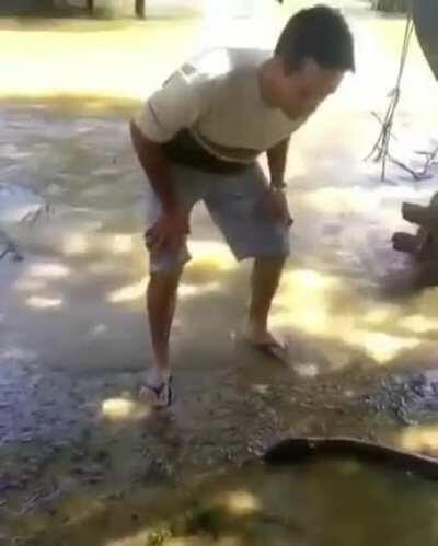 WCGW if I touch this electric eel
