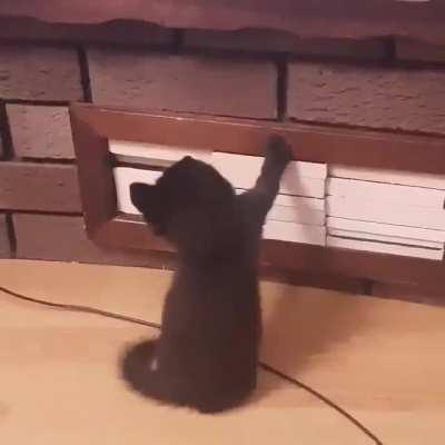 Convict watches violent video games while on parole