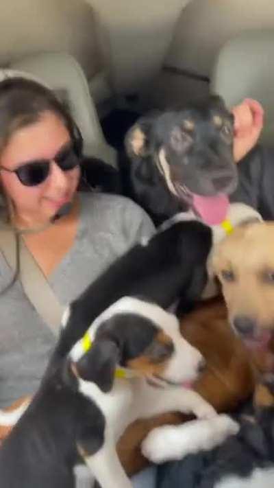A woman embarked on a rescue mission in a plane to save 27 puppies from a 