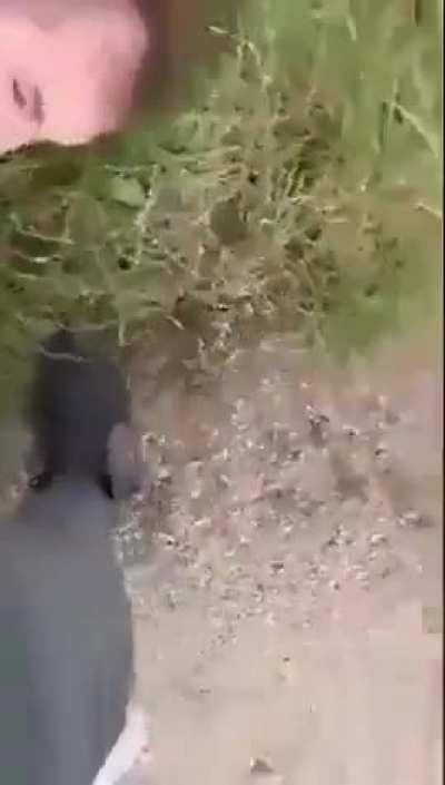 This man had arranged to meet a 12-year-old girl, but upon arriving at the meeting place, the girl's father was waiting for him with his dogs