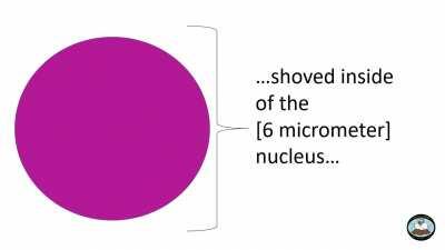The true scale of how much DNA is inside of a human body (Original Content)