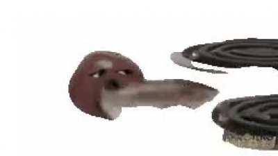 I have I have I have vomited fish