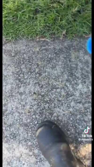 Pleasant surprise. @stoksie on TikTok