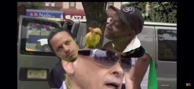 Cursed_ Paul Walker is alive