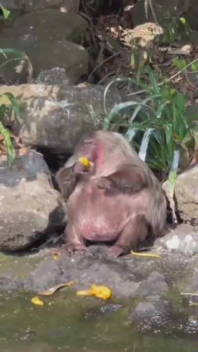 Who took this video of me