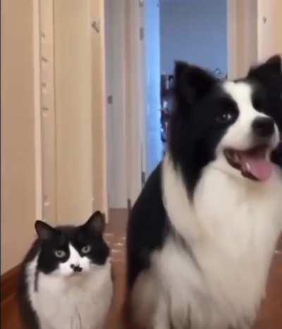 The family resemblance is obvious.