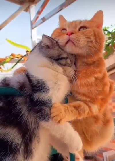 Do u believe that love exists?💕