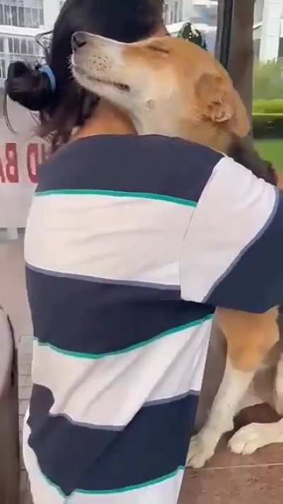 Stray dog's reaction to being hugged.. 🐕🐾❤️...