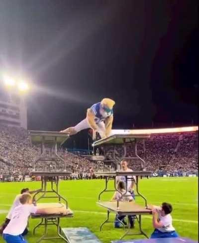 Just a mascot going above and beyond