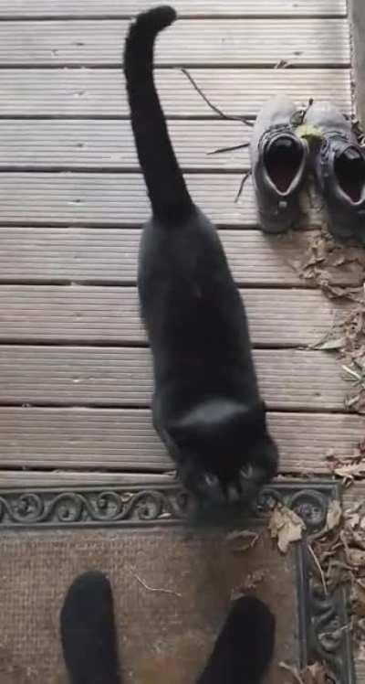 He does this every time