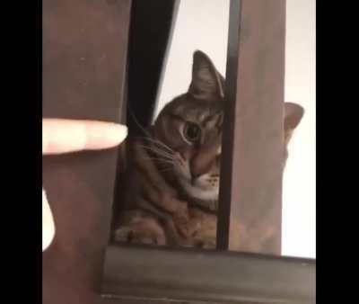 That face when you realise you're stuck.