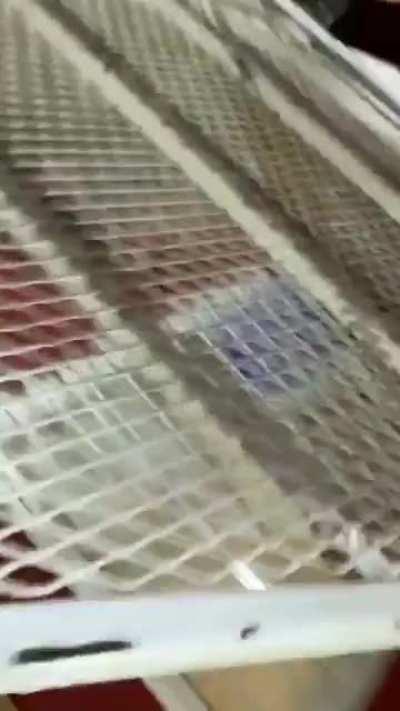 FigueroaFinds picking up Street walkers on Figueroa Street Compilation ❤️ Hope your okay and making new content