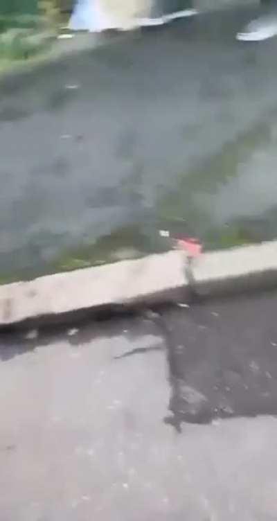 Off duty pig assaults child.