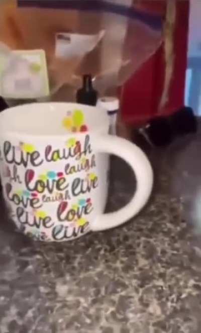 Live, laugh, love❤️