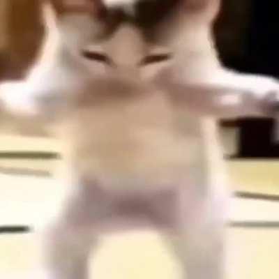 La pecky bailando xd