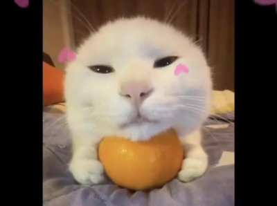 Maybe wunk does deserve all that