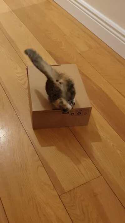 Jazz doing Jazz things!