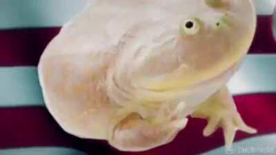 It is Wednesday my dudes