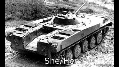 Please avoid using the wrong pronouns