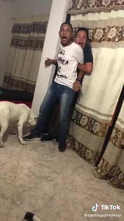 It’s all fun and games until...