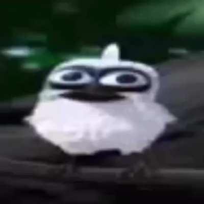 never forgor the best era of shitpost