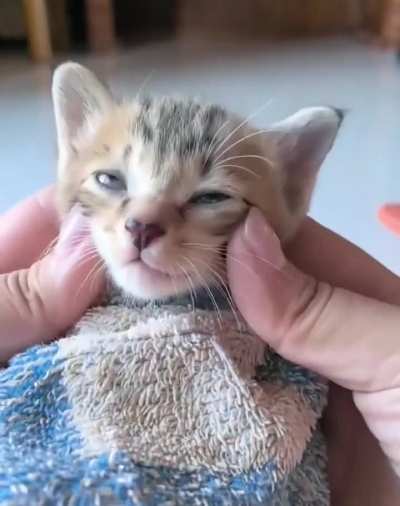 Smol massage for smol car