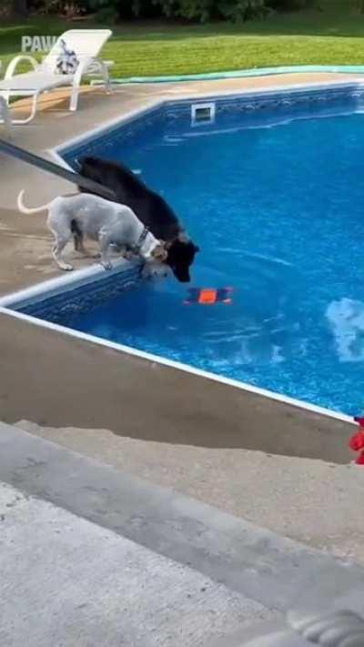 Team work is important, but first you need to find a right partner.