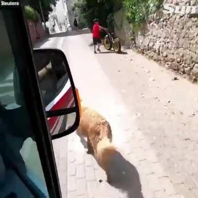 Should they have let him in?