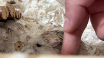 I am obsessed with her 😩🥰