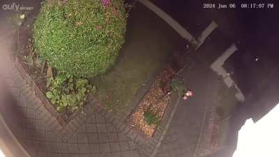 MWhen vehicles approach, my security camera turns on. Footage shows a 