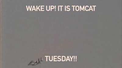 It is Tomcat Tuesday!!!