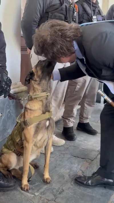 🐶El mejor video del dia.