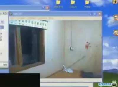 Ludwig the accursed be like: