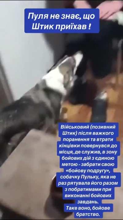 A soldier returned to the place where he served on the front, after being severely wounded and losing a leg, with the sole purpose of taking his “combat friend”